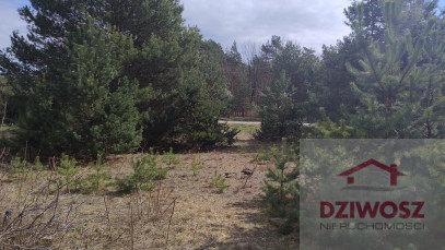 Działka Sprzedaż Janówek Pierwszy